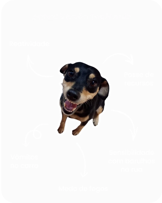 antes da morgana