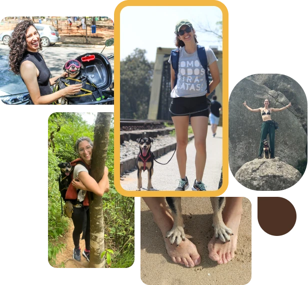 mosaico pet na moto