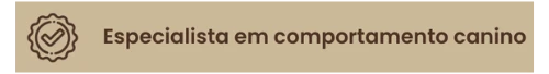 certificado 3