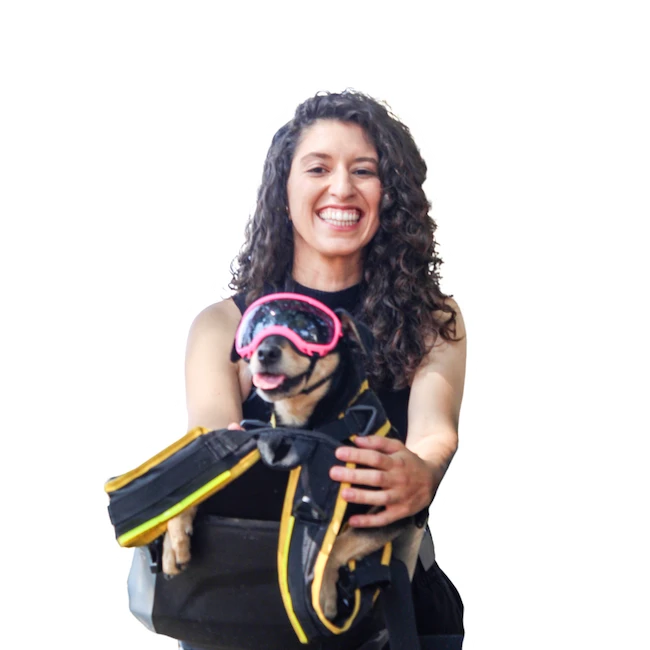 Pet na Moto Capa