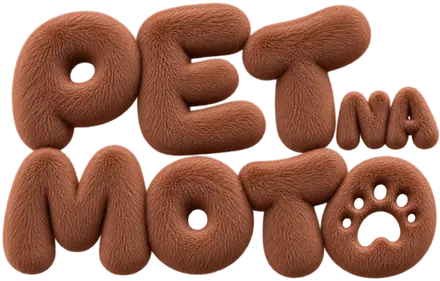logo pet na moto adestramento positivo