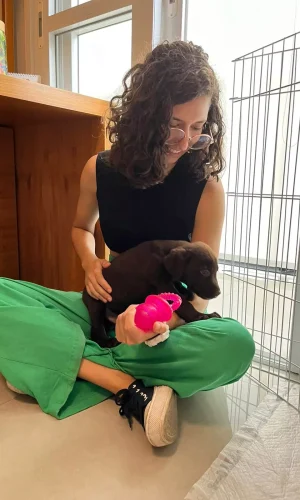 adestradora patrícia milão2