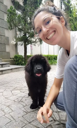 adestradora patrícia milão6